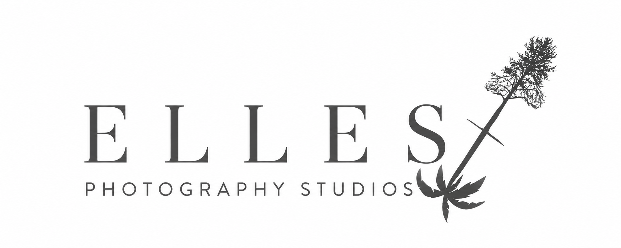 Elles Photography Studios Logo Header